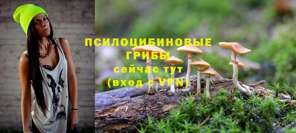 марки nbome Белокуриха