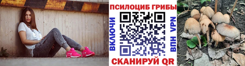 Галлюциногенные грибы MAGIC MUSHROOMS Ковылкино